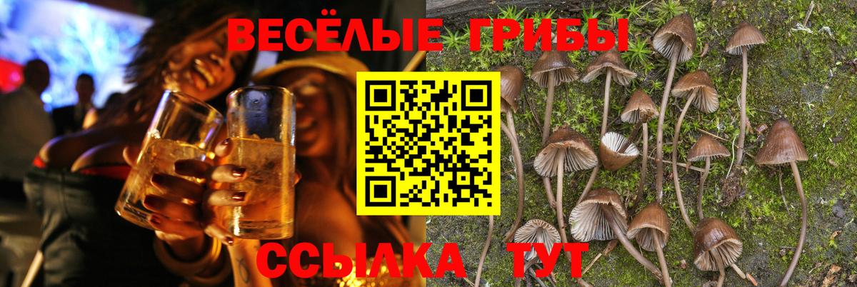 Псилоцибиновые грибы мицелий  Вход с VPN  Галлюциногенные грибы Magic Shrooms  Можайск 